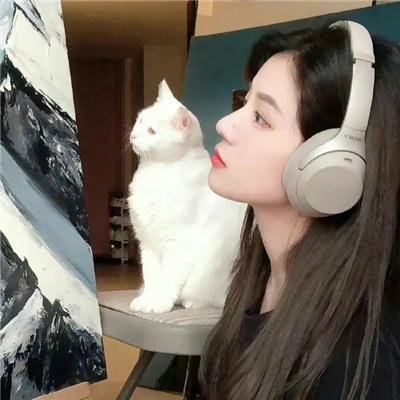 疯魔美女 封面